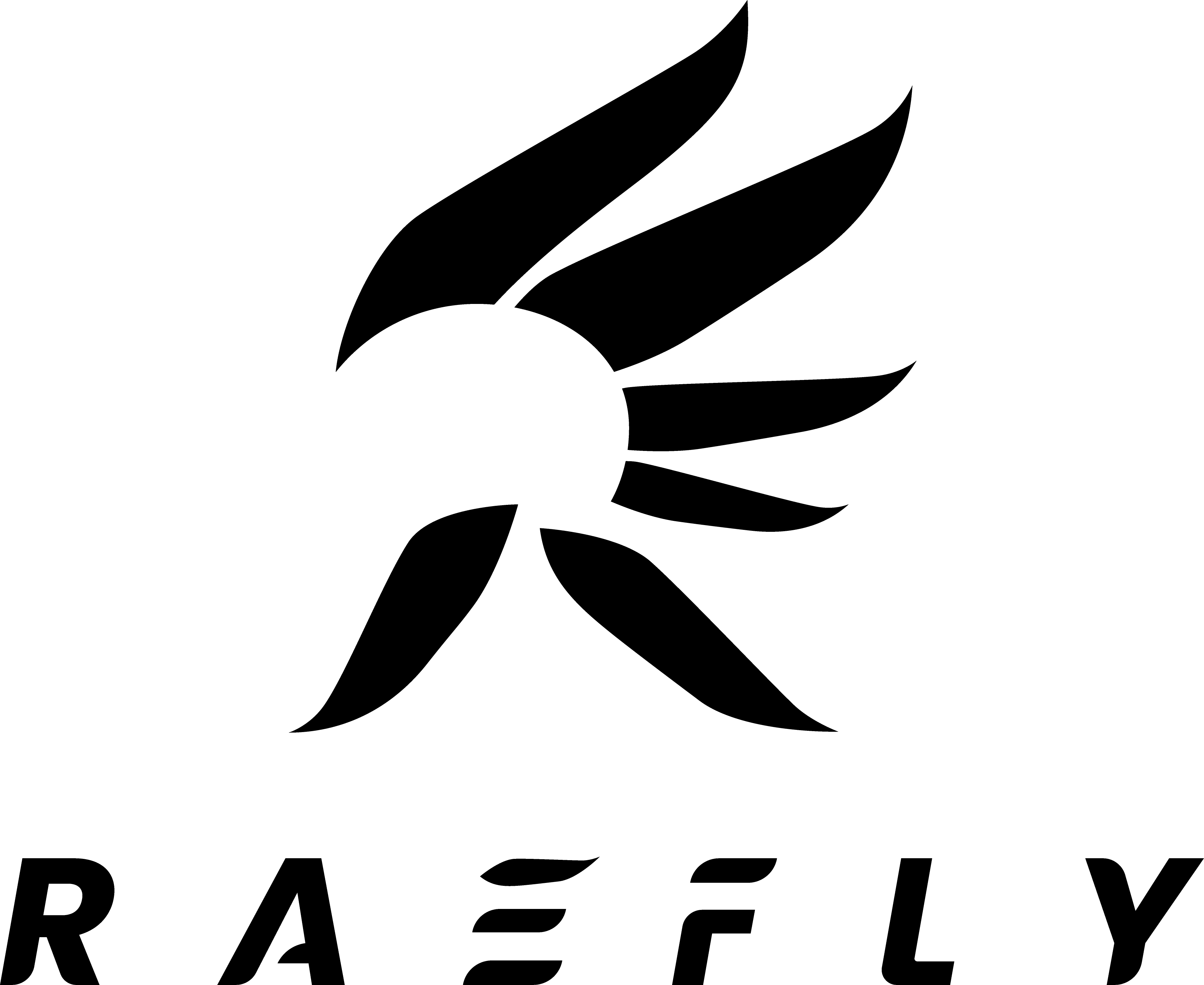 ../_images/supporters_logo_raefly.png
